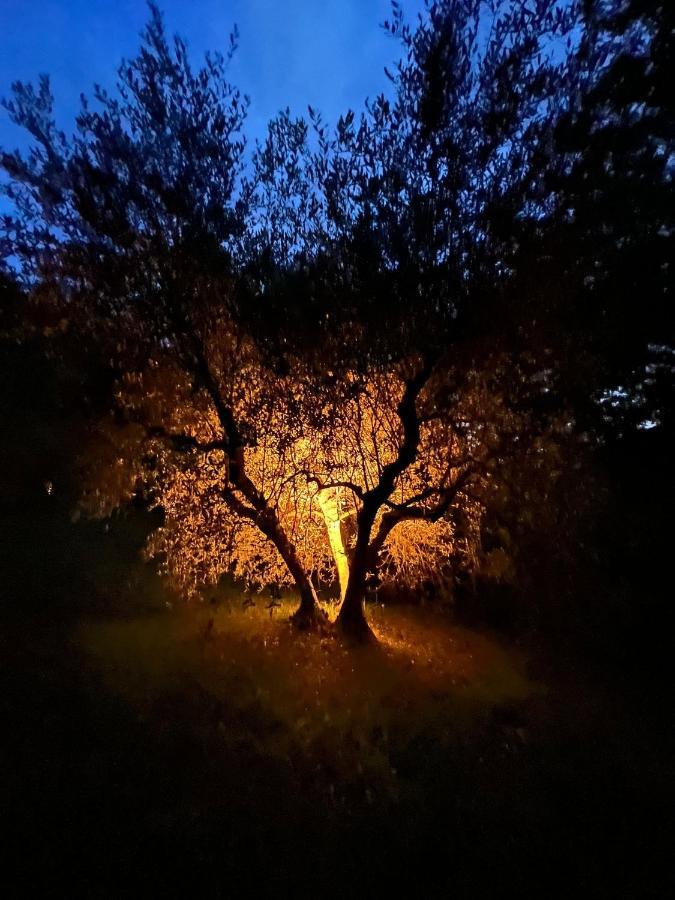 La Casa Nel Bosco Vila Lari Exterior foto